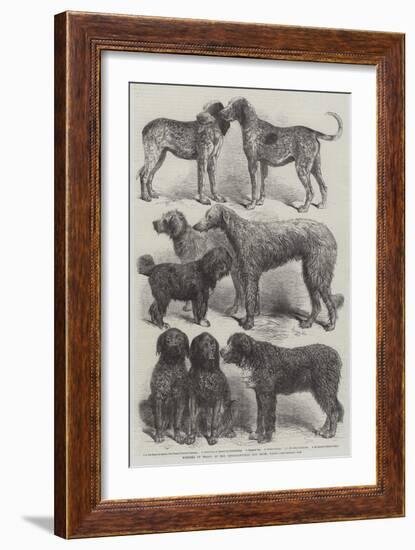 Winners of Prizes at the International Dog Show, Paris-Harrison William Weir-Framed Giclee Print