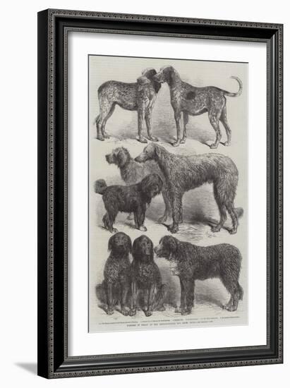 Winners of Prizes at the International Dog Show, Paris-Harrison William Weir-Framed Giclee Print
