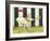 Winnie Waits-Jennifer Garant-Framed Giclee Print