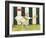 Winnie Waits-Jennifer Garant-Framed Giclee Print