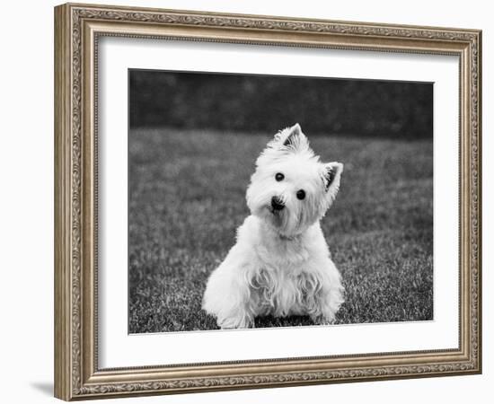 Winnie-Kim Levin-Framed Photographic Print