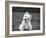 Winnie-Kim Levin-Framed Photographic Print