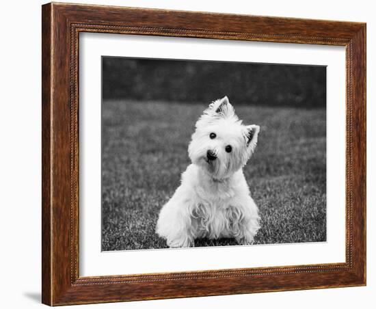 Winnie-Kim Levin-Framed Photographic Print