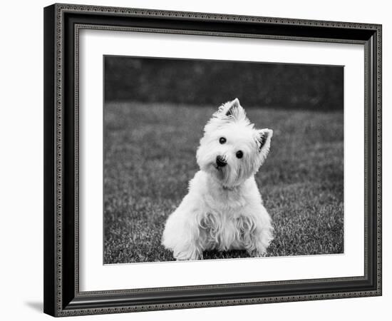 Winnie-Kim Levin-Framed Photographic Print