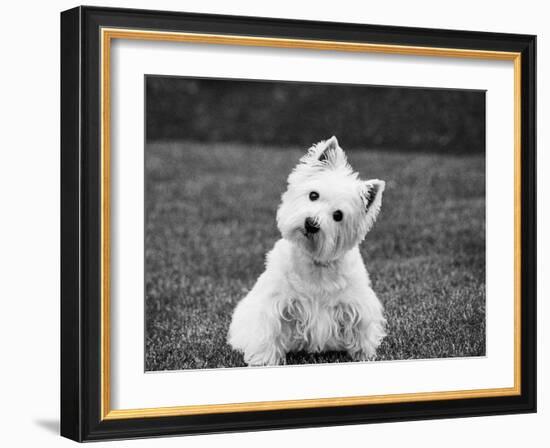 Winnie-Kim Levin-Framed Photographic Print