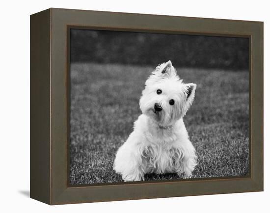 Winnie-Kim Levin-Framed Premier Image Canvas