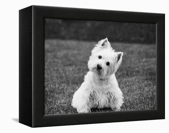 Winnie-Kim Levin-Framed Premier Image Canvas