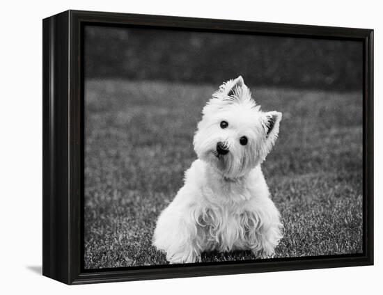 Winnie-Kim Levin-Framed Premier Image Canvas