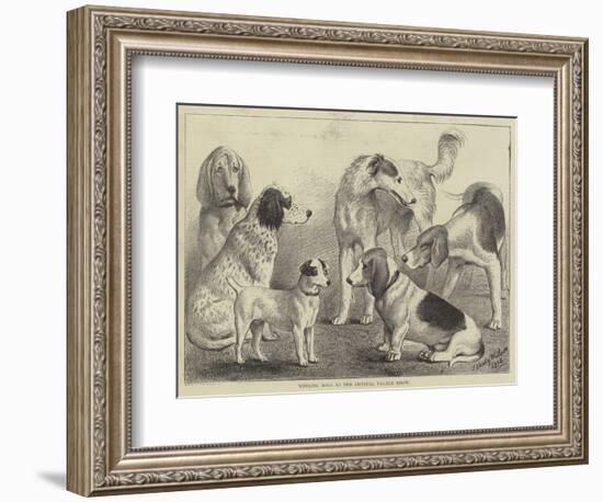 Winning Dogs at the Crystal Palace Show-null-Framed Giclee Print