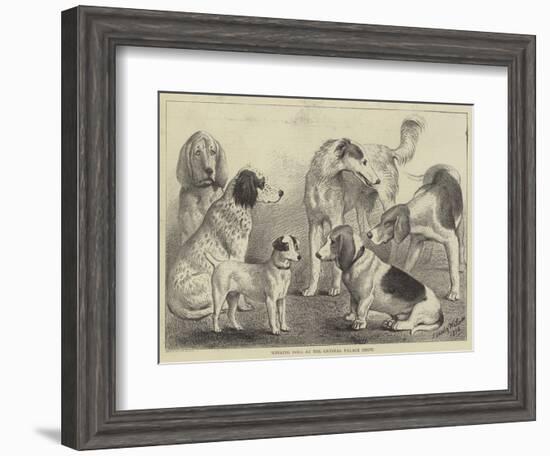 Winning Dogs at the Crystal Palace Show-null-Framed Giclee Print