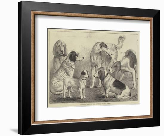 Winning Dogs at the Crystal Palace Show-null-Framed Giclee Print