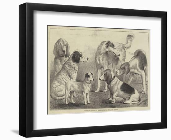 Winning Dogs at the Crystal Palace Show-null-Framed Giclee Print