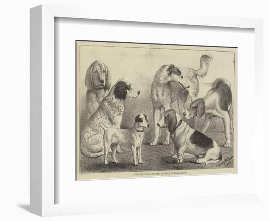 Winning Dogs at the Crystal Palace Show-null-Framed Giclee Print