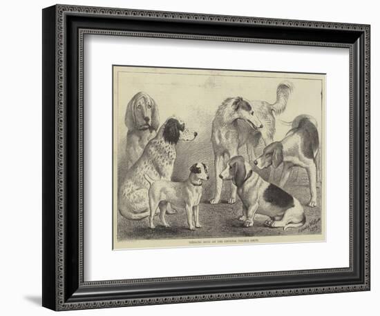 Winning Dogs at the Crystal Palace Show-null-Framed Giclee Print