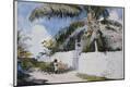 Premium Giclee Print