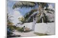 Giclee Print