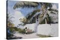 Stretched Canvas Print