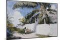 Giclee Print