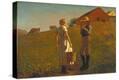 Stretched Canvas Print