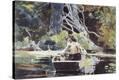 Stretched Canvas Print