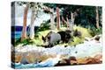 Stretched Canvas Print