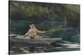 Stretched Canvas Print