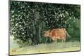 Premium Giclee Print