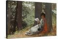 Stretched Canvas Print