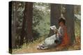 Stretched Canvas Print