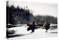 Stretched Canvas Print