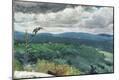 Giclee Print