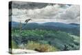 Stretched Canvas Print