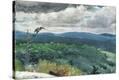 Stretched Canvas Print