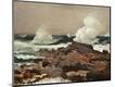 Premium Giclee Print
