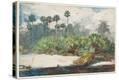 Stretched Canvas Print