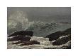 Premium Giclee Print