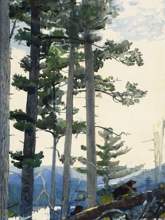 A Wall Winslow Homer Watercolor Reproductions Fine Art Print Nassau