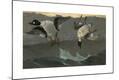 Premium Giclee Print