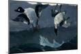 Premium Giclee Print