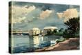 Stretched Canvas Print
