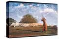 Stretched Canvas Print