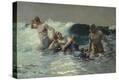 Stretched Canvas Print