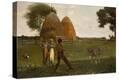 Stretched Canvas Print