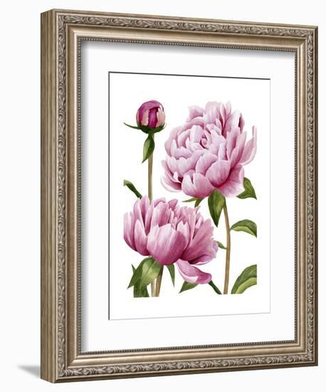 Winsome Peonies I-Grace Popp-Framed Art Print