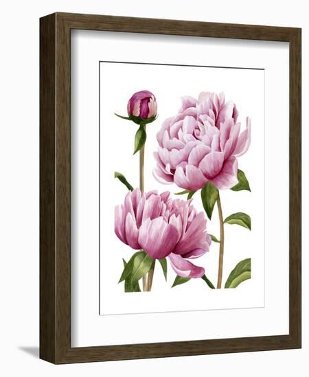 Winsome Peonies I-Grace Popp-Framed Art Print