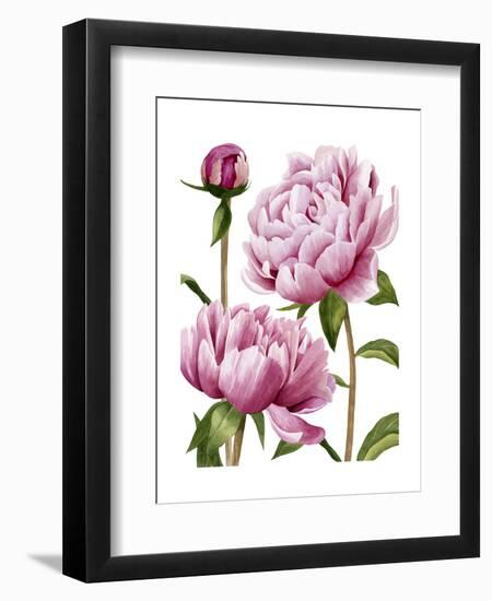 Winsome Peonies I-Grace Popp-Framed Art Print