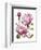 Winsome Peonies I-Grace Popp-Framed Art Print