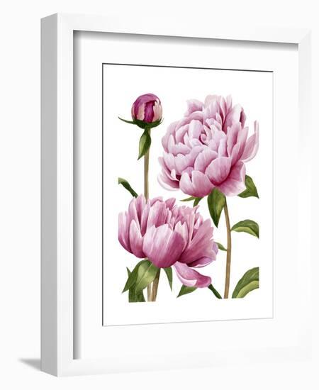 Winsome Peonies I-Grace Popp-Framed Art Print