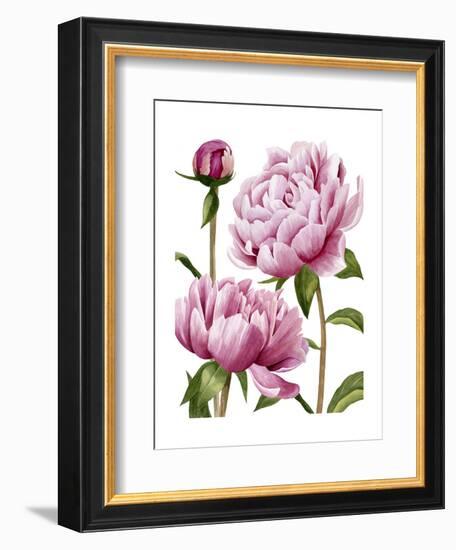 Winsome Peonies I-Grace Popp-Framed Art Print