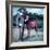 Winston Churchill and Horse-null-Framed Photographic Print